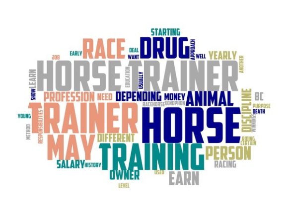 Horse Trainer Typography Tshirt