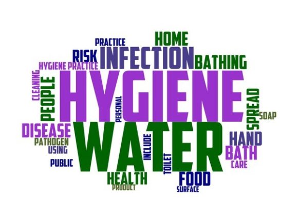 Hygienist Typography Sticker: A Versatile Design Asset for Purpose-Driven Creatives