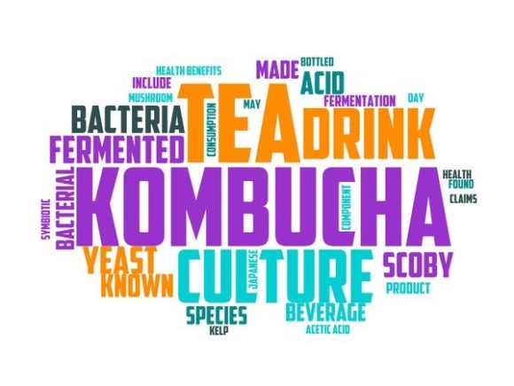 Kombucha Typography Book Cover: A Hand-Drawn Word Cloud That Bridges Craft, Brand, and Culture