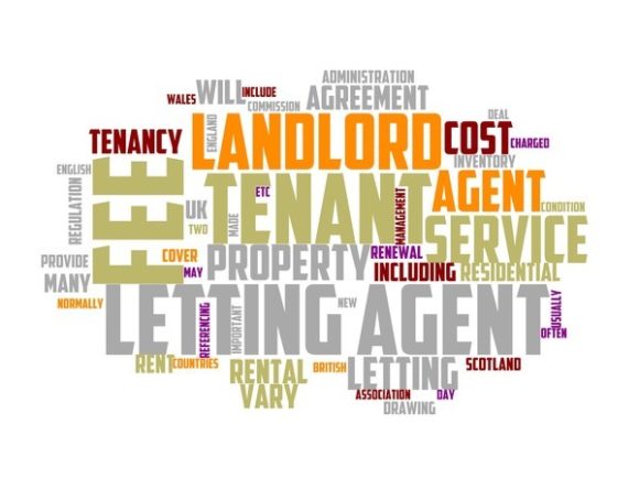 Letting Agent Typography Book Cover: Where Practical Design Meets Creative Expression
